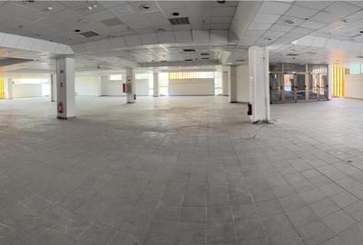 Ultracentral - Magazin Luceafarul - etajul 3 (integral) - 13