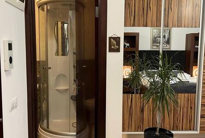 Garsonieră în Bartolomeu - 10