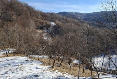 Teren de 2031 mp, în Poiana - 3