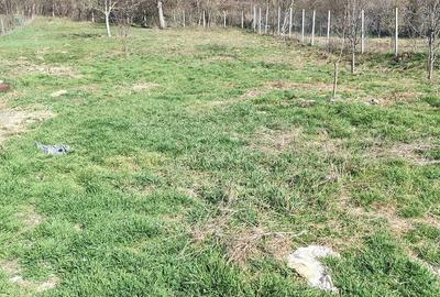 Casă cu Teren 1575 Mp în Lupu - 2