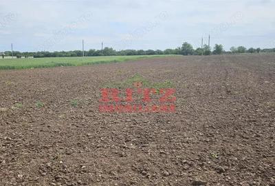 Nou! Teren intravilan S= 4998 mp! - 4