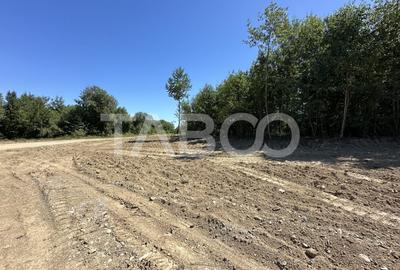Teren extravilan cu utilitati 1800 mp langa Rau pe Valea Sebesului - 5