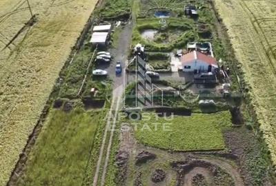 Casă cu 2 camere cu Teren 10000 Mp în Cornești - 4
