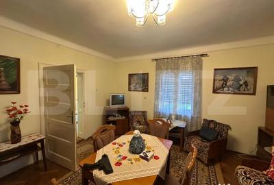 Casă cu 3 camere cu Teren 5700 Mp în Viile Satu Mare - 8