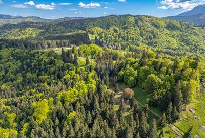 Teren intravilan cu potential turistic si de agrement, zona Trei Brazi - 11