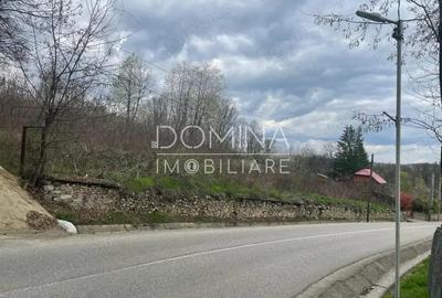 Vanzare teren intravilan - Runcu - oportunitate intr-o zona turistica deosebita - 2