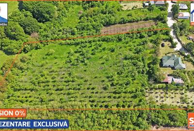 Casă individuală cu 4 camere cu Teren 10000 Mp în Podenii Vechi - 11