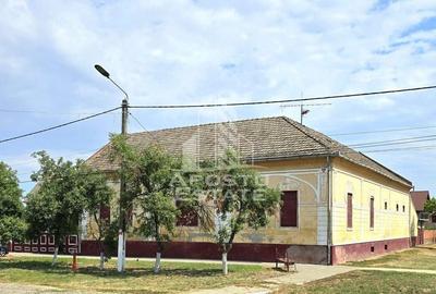 Casă individuală cu 8 camere în Șandra