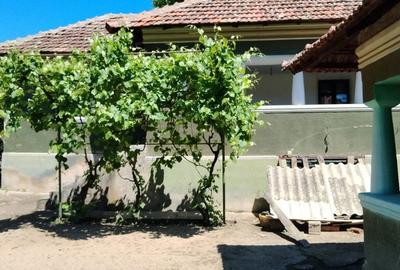 Casă cu 3 camere în Orevița Mare - 2