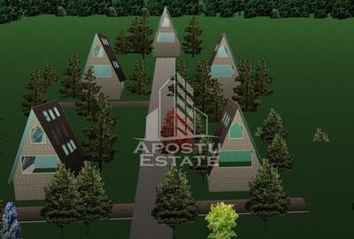 Teren Construibil - Sebis - 3