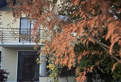 Cart .Belvedere ,Casa de închiriat - 1