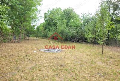 Casă cu Teren 2093 Mp în Bănești - 5