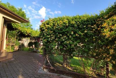 Vila individuala S+P+1+M - Matei Millo / 810mp teren - 4