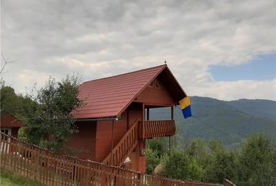 Casă cu Teren 6000 Mp în Câmpeni - 8