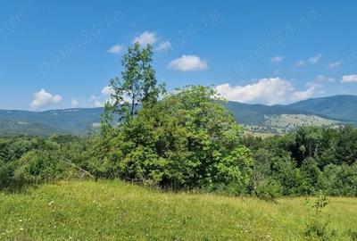 Teren de 1000 mp, în Nord - 1