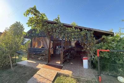 Casa-Malu Mare-940mp teren-Centrala gaz-Garaj-Piscina-Zona Linistita - 13