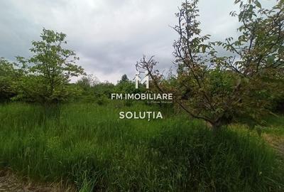 Teren 63 ari, Victoriei zona STO - 4