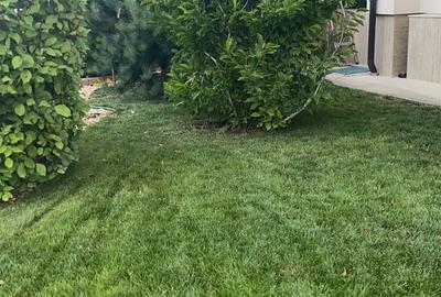 Vanzare casa Paradisul Verde Corbeanca - 18