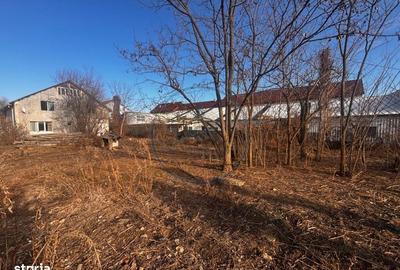 Spațiu comercial, în Viișoara - 3