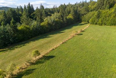 Teren intravilan 3300mp- Vulcan Brasov langa Lac si padure - zona turistica - 11