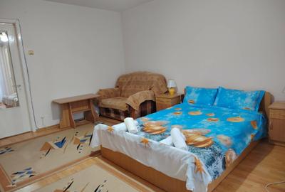 Garsonieră semidecomandată, mobilată în Brazda lui Novac - 3