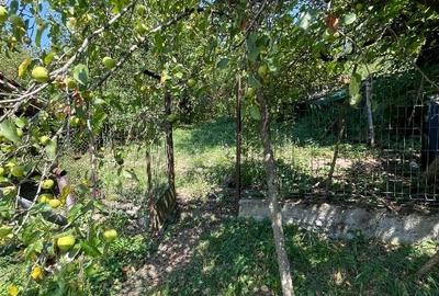 Casă la țară jud Hunedoara - 15