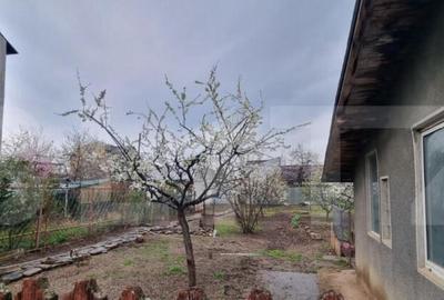 Teren intravilan 1500mp, deschidere 19 ml, in zona 23 august - 4