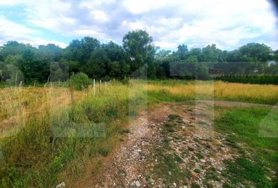 Teren de 1430 mp, în Bună Ziua - 3