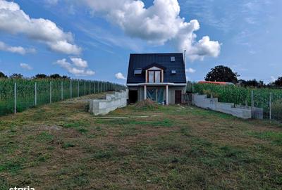 Casă cu 3 camere cu Teren 1900 Mp în Vârfu Câmpului - 2