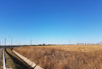 Teren de 26800 mp, în Lehliu - 5