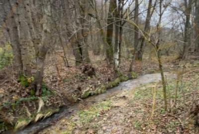 Teren de 6500 mp, în Morărești