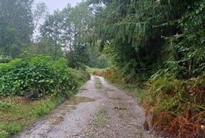 Teren intravilan de vanzare 500 mp Valea Avrigului - 4