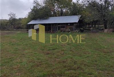 Casă cu 4 camere cu Teren 11250 Mp în Ștubeiu - 7