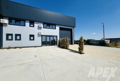 Spatiu Industrial-Hala | Teren 973mp | Domnesti-Centura Bucuresti - 1