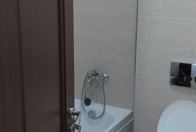 Garsonieră decomandată în Sârbi - 8