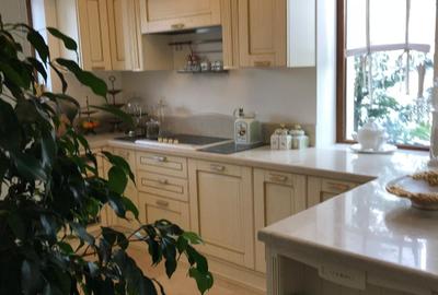 Property Iancu Nicolae 1000 - 28