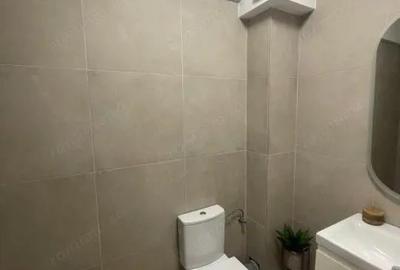 Apartament cu 3 camere decomandat în Nord - 19