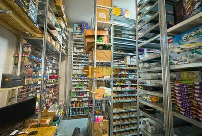 Spațiu industrial, de 103.34999847412 mp, în Theodor Pallady - 2