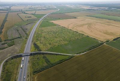 Teren 12 ha la Autostrada A1 cu PUZ aprobat - 2