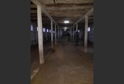 Ferma langa Oravita 5600 mp construiti si teren 24281 intravilan - 6