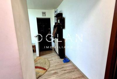 Apartament cu 2 camere decomandat în Ludoș - 8