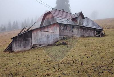 Teren Construcții intravilan de 26232 mp, în Dorna-Arini - 6