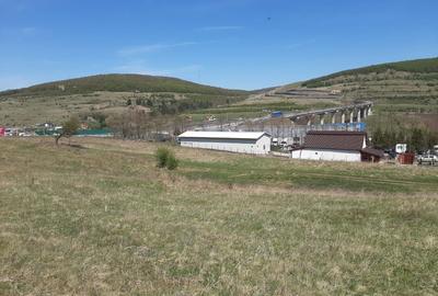 Teren Construcții de 4900 mp, în Vâlcele - 8