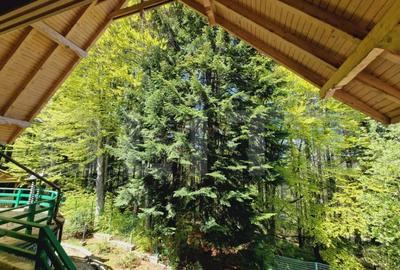 Casa in zona Trei Brazi,Predeal - 2