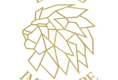 Spațiu comercial, în Colibița