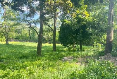 Teren de 10000 mp, în Vicovu de Sus - 3