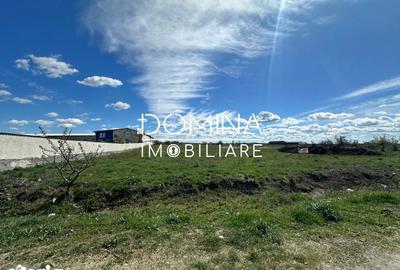 Teren de 10339 mp, în Narciselor - 2