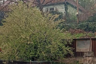 Casă cu Teren 180 Mp în Central - 4