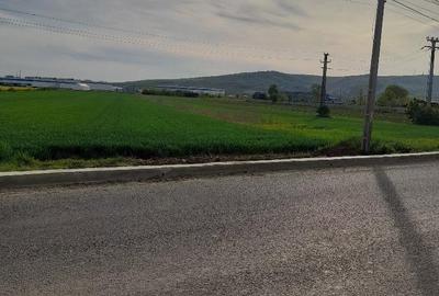 Teren de 5000 mp, în Central - 6