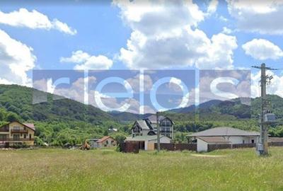 VANZRE-TEREN  - INTRAVILAN 650 mp deschidere 25 mp RASNOV -BRASOV - 3